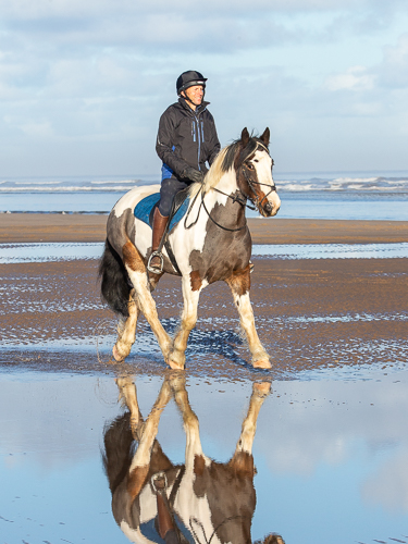 Horse and rider walking on beach with reflection in water
