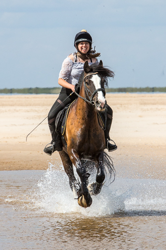 Horse and rider galloping through water on the beach