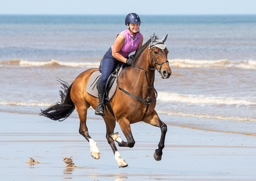 Brown Horse and rider galloping down beach along water line