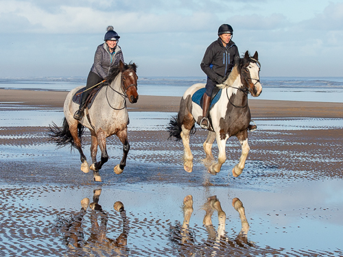 Two Horse with riders galloping through water on the beach