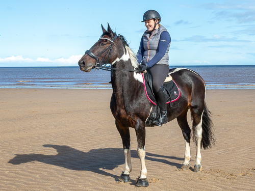 Horse and rider standing on beach