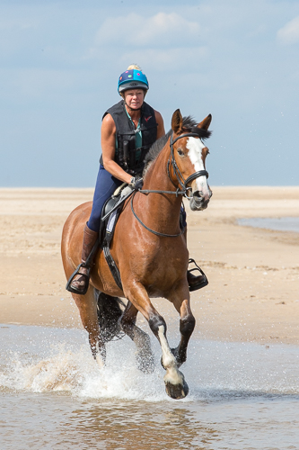 Horse and rider cantering through water on the beach