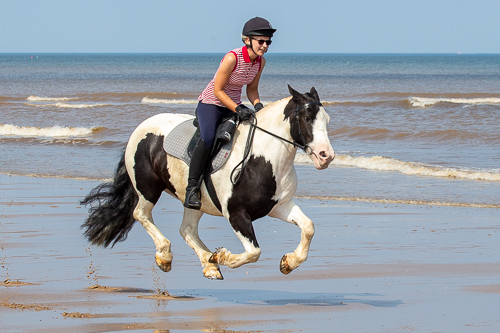 Black and white horse and rider galloping on the beach